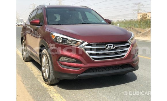 Buy Import Hyundai Tucson Red Car in Import - Dubai in Somalia Buy Import Hyundai Tucson Red Car in Import - Dubai in Somalia