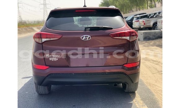 Buy Import Hyundai Tucson Red Car in Import - Dubai in Somalia Buy Import Hyundai Tucson Red Car in Import - Dubai in Somalia