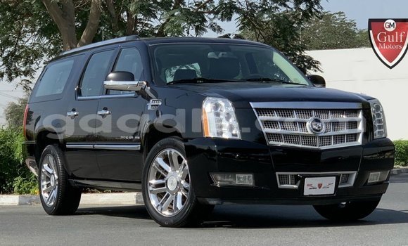 Buy Import Cadillac Escalade Black Car in Import - Dubai in Somalia