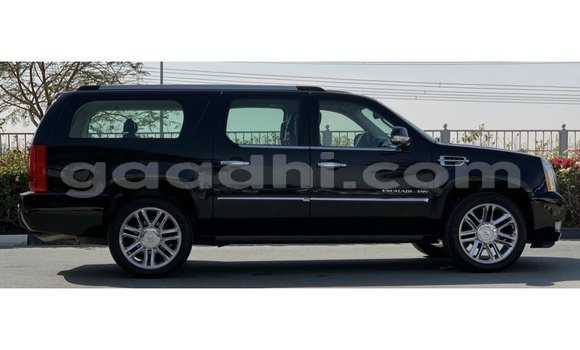 Buy Import Cadillac Escalade Black Car in Import - Dubai in Somalia Buy Import Cadillac Escalade Black Car in Import - Dubai in Somalia