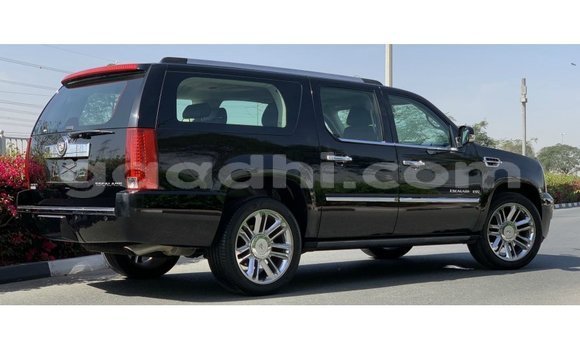 Buy Import Cadillac Escalade Black Car in Import - Dubai in Somalia Buy Import Cadillac Escalade Black Car in Import - Dubai in Somalia
