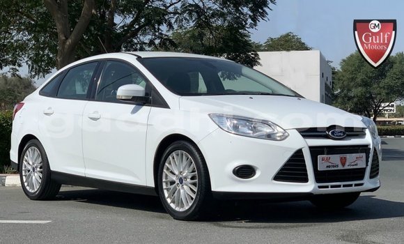 Buy Import Ford Focus White Car in Import - Dubai in Somalia