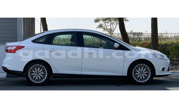 Buy Import Ford Focus White Car in Import - Dubai in Somalia Buy Import Ford Focus White Car in Import - Dubai in Somalia