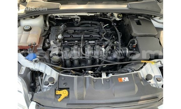 Buy Import Ford Focus White Car in Import - Dubai in Somalia Buy Import Ford Focus White Car in Import - Dubai in Somalia
