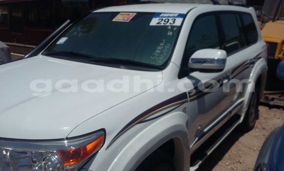 Oofamaa Toyota Land Cruiser White Makiinaa iti Hargeysa keessatti Somaliland keessatti Oofamaa Toyota Land Cruiser White Makiinaa iti Hargeysa keessatti Somaliland keessatti