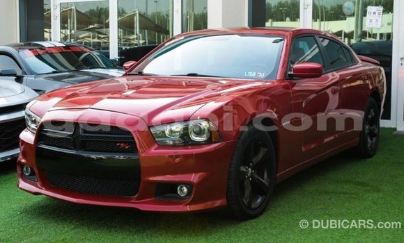 ይግዙ Imported Dodge Charger ቀይ መኪና በ Import - Dubai በ ሶማሊያ ይግዙ Imported Dodge Charger ቀይ መኪና በ Import - Dubai በ ሶማሊያ