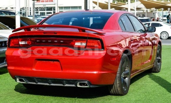 ይግዙ Imported Dodge Charger ቀይ መኪና በ Import - Dubai በ ሶማሊያ ይግዙ Imported Dodge Charger ቀይ መኪና በ Import - Dubai በ ሶማሊያ