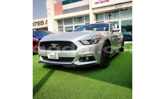 Buy Import Ford Mustang Other Car in Import - Dubai in Somalia Buy Import Ford Mustang Other Car in Import - Dubai in Somalia