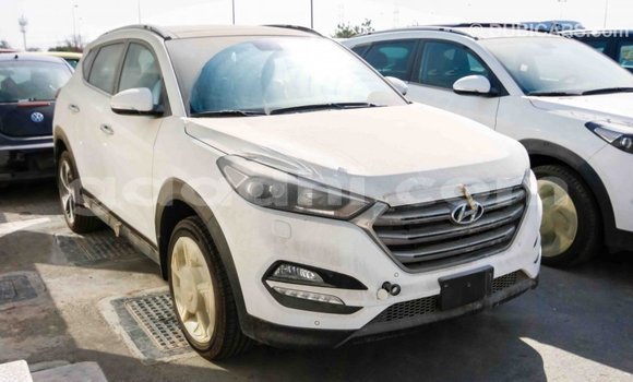Imported Hyundai Tucson White Makiinaa iti Import - Dubai keessatti Somalia keessatti Imported Hyundai Tucson White Makiinaa iti Import - Dubai keessatti Somalia keessatti