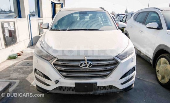 Imported Hyundai Tucson White Makiinaa iti Import - Dubai keessatti Somalia keessatti Imported Hyundai Tucson White Makiinaa iti Import - Dubai keessatti Somalia keessatti