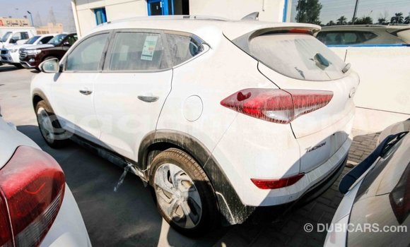 Imported Hyundai Tucson White Makiinaa iti Import - Dubai keessatti Somalia keessatti Imported Hyundai Tucson White Makiinaa iti Import - Dubai keessatti Somalia keessatti
