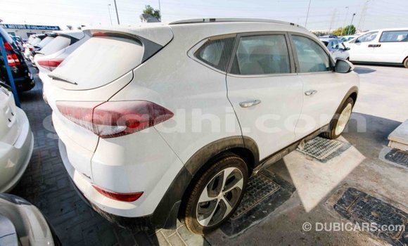 Imported Hyundai Tucson White Makiinaa iti Import - Dubai keessatti Somalia keessatti Imported Hyundai Tucson White Makiinaa iti Import - Dubai keessatti Somalia keessatti