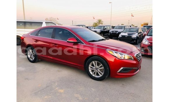 Imported Hyundai Sonata Red Makiinaa iti Import - Dubai keessatti Somalia keessatti Imported Hyundai Sonata Red Makiinaa iti Import - Dubai keessatti Somalia keessatti