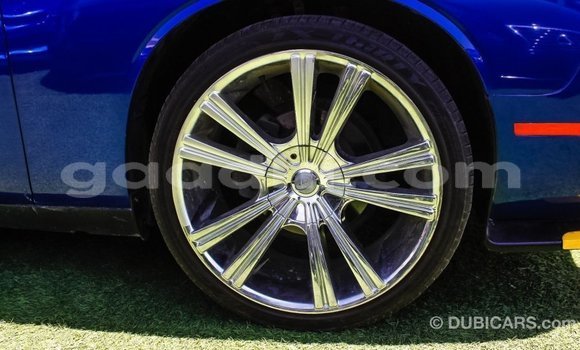 Buy Import Dodge Challenger Blue Car in Import - Dubai in Somalia Buy Import Dodge Challenger Blue Car in Import - Dubai in Somalia