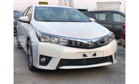 Buy Import Toyota Corolla White Car in Import - Dubai in Somalia Buy Import Toyota Corolla White Car in Import - Dubai in Somalia