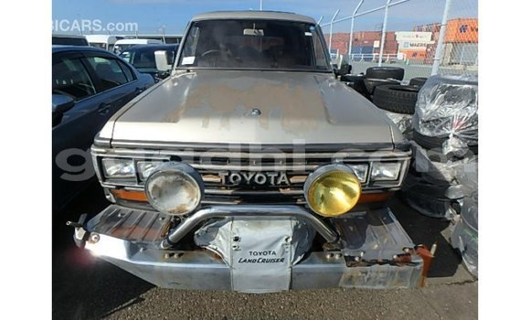 ይግዙ Imported Toyota Land Cruiser ሌላ መኪና በ Import - Dubai በ ሶማሊያ ይግዙ Imported Toyota Land Cruiser ሌላ መኪና በ Import - Dubai በ ሶማሊያ
