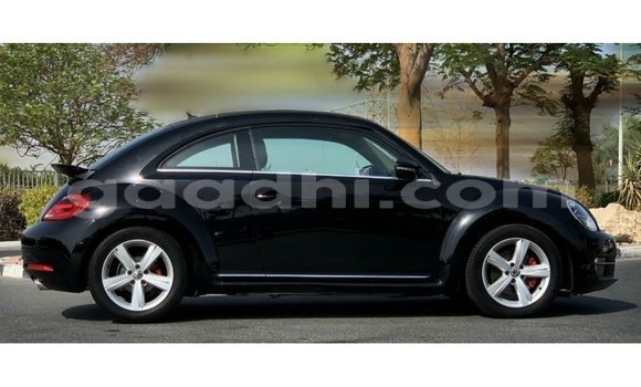 Buy Import Volkswagen Beetle Black Car in Import - Dubai in Somalia Buy Import Volkswagen Beetle Black Car in Import - Dubai in Somalia