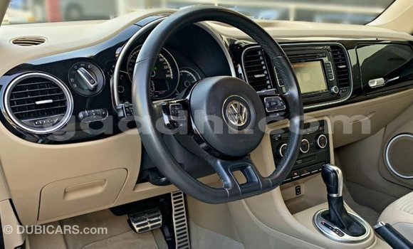Buy Import Volkswagen Beetle Black Car in Import - Dubai in Somalia Buy Import Volkswagen Beetle Black Car in Import - Dubai in Somalia