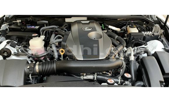 Buy Import Lexus IS White Car in Import - Dubai in Somalia Buy Import Lexus IS White Car in Import - Dubai in Somalia