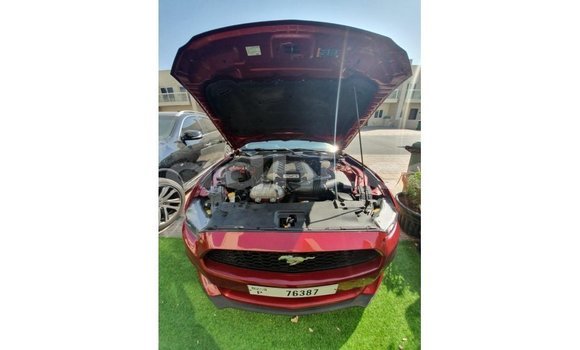 Buy Import Ford Mustang Red Car in Import - Dubai in Somalia Buy Import Ford Mustang Red Car in Import - Dubai in Somalia