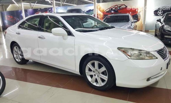 Imported Lexus ES White Makiinaa iti Import - Dubai keessatti Somalia keessatti Imported Lexus ES White Makiinaa iti Import - Dubai keessatti Somalia keessatti