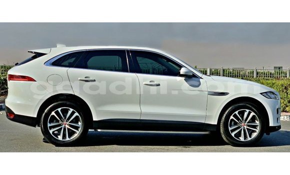 Buy Import Jaguar F-Pace White Car in Import - Dubai in Somalia Buy Import Jaguar F-Pace White Car in Import - Dubai in Somalia