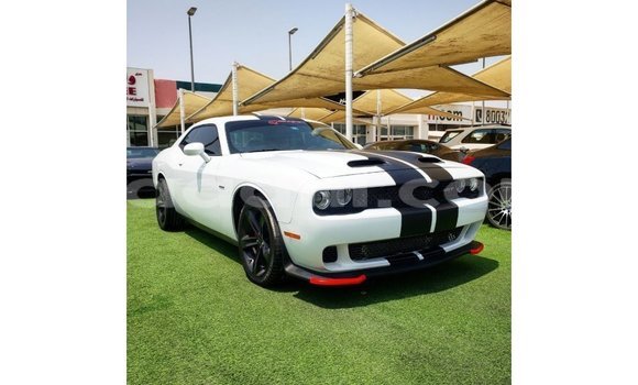 Acheter Import Voiture Dodge Challenger Blanc à Import - Dubai, Somalie Acheter Import Voiture Dodge Challenger Blanc à Import - Dubai, Somalie