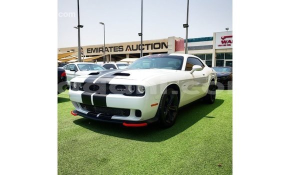 Buy Import Dodge Challenger White Car in Import - Dubai in Somalia Buy Import Dodge Challenger White Car in Import - Dubai in Somalia