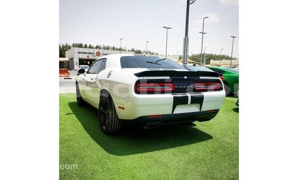 Buy Import Dodge Challenger White Car in Import - Dubai in Somalia Buy Import Dodge Challenger White Car in Import - Dubai in Somalia
