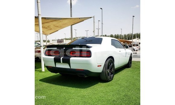 Buy Import Dodge Challenger White Car in Import - Dubai in Somalia Buy Import Dodge Challenger White Car in Import - Dubai in Somalia