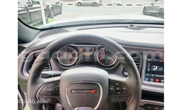 Buy Import Dodge Challenger White Car in Import - Dubai in Somalia Buy Import Dodge Challenger White Car in Import - Dubai in Somalia
