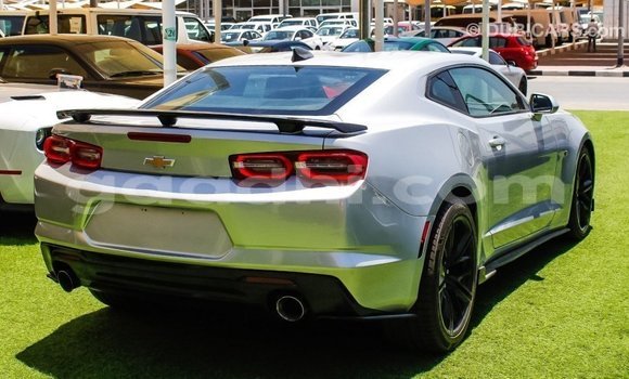 Buy Import Chevrolet Camaro Other Car in Import - Dubai in Somalia Buy Import Chevrolet Camaro Other Car in Import - Dubai in Somalia