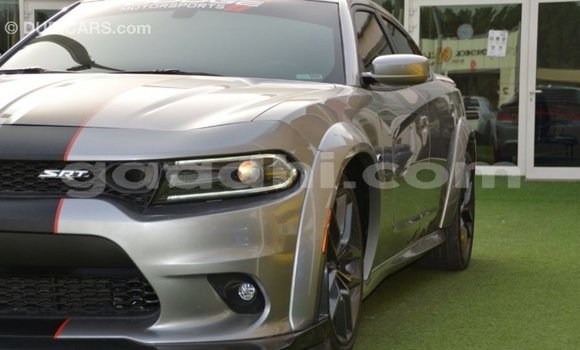 Buy Import Dodge Charger Other Car in Import - Dubai in Somalia Buy Import Dodge Charger Other Car in Import - Dubai in Somalia