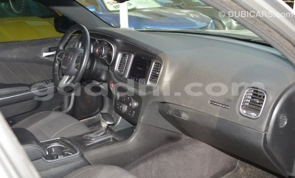 Buy Import Dodge Charger Other Car in Import - Dubai in Somalia Buy Import Dodge Charger Other Car in Import - Dubai in Somalia