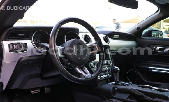 Buy Import Ford Mustang Black Car in Import - Dubai in Somalia Buy Import Ford Mustang Black Car in Import - Dubai in Somalia