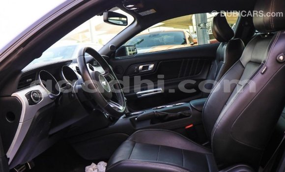 Buy Import Ford Mustang Black Car in Import - Dubai in Somalia Buy Import Ford Mustang Black Car in Import - Dubai in Somalia