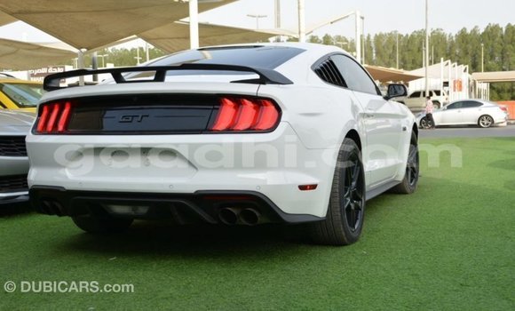 Buy Import Ford Mustang White Car in Import - Dubai in Somalia Buy Import Ford Mustang White Car in Import - Dubai in Somalia