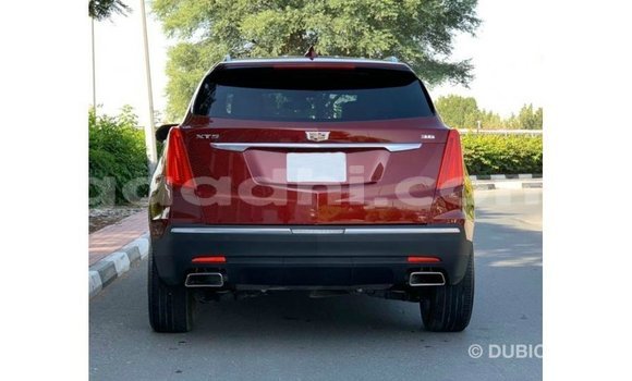 Buy Import Cadillac XT5 Red Car in Import - Dubai in Somalia Buy Import Cadillac XT5 Red Car in Import - Dubai in Somalia