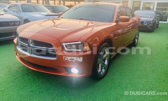 Buy Import Dodge Charger Other Car in Import - Dubai in Somalia Buy Import Dodge Charger Other Car in Import - Dubai in Somalia