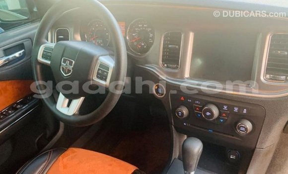 Buy Import Dodge Charger Other Car in Import - Dubai in Somalia Buy Import Dodge Charger Other Car in Import - Dubai in Somalia