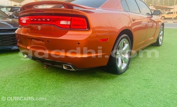 Buy Import Dodge Charger Other Car in Import - Dubai in Somalia Buy Import Dodge Charger Other Car in Import - Dubai in Somalia