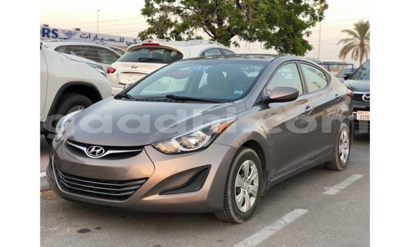 Buy Import Hyundai Elantra Brown Car in Import - Dubai in Somalia Buy Import Hyundai Elantra Brown Car in Import - Dubai in Somalia