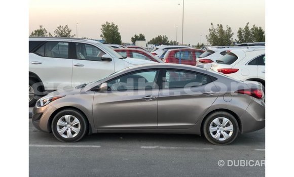 Buy Import Hyundai Elantra Brown Car in Import - Dubai in Somalia Buy Import Hyundai Elantra Brown Car in Import - Dubai in Somalia