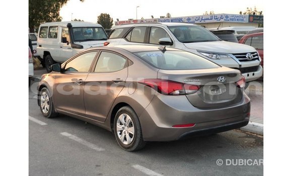 Buy Import Hyundai Elantra Brown Car in Import - Dubai in Somalia Buy Import Hyundai Elantra Brown Car in Import - Dubai in Somalia