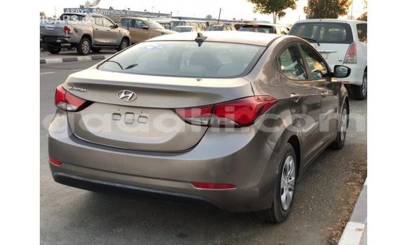 Buy Import Hyundai Elantra Brown Car in Import - Dubai in Somalia Buy Import Hyundai Elantra Brown Car in Import - Dubai in Somalia