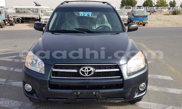 اشتري Imported Toyota RAV4 أخضر سيارة في Import - Dubai في الصومال اشتري Imported Toyota RAV4 أخضر سيارة في Import - Dubai في الصومال