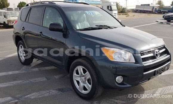 اشتري Imported Toyota RAV4 أخضر سيارة في Import - Dubai في الصومال اشتري Imported Toyota RAV4 أخضر سيارة في Import - Dubai في الصومال