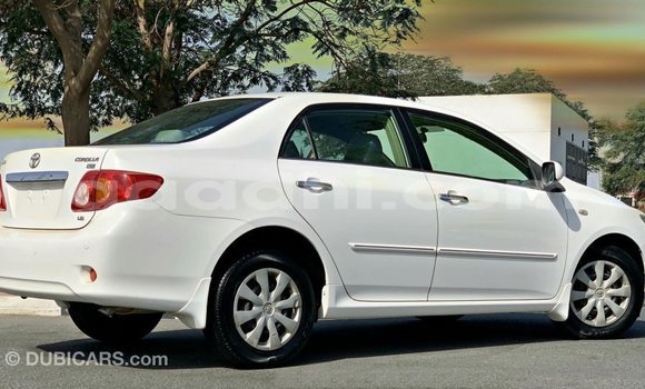 Buy Import Toyota Corolla White Car in Import - Dubai in Somalia Buy Import Toyota Corolla White Car in Import - Dubai in Somalia