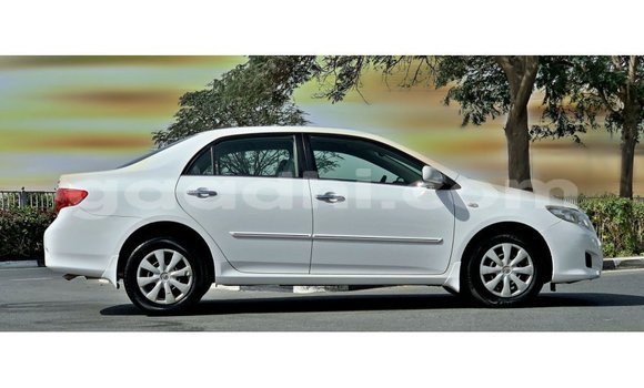 Buy Import Toyota Corolla White Car in Import - Dubai in Somalia Buy Import Toyota Corolla White Car in Import - Dubai in Somalia