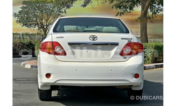 Buy Import Toyota Corolla White Car in Import - Dubai in Somalia Buy Import Toyota Corolla White Car in Import - Dubai in Somalia